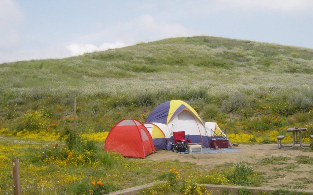 A set up campsite in Murrieta, surrounded by wildflowers and tall grass