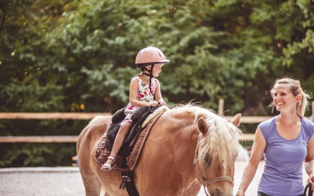 Equestrian
