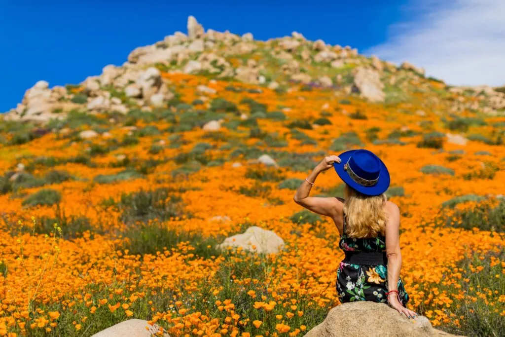 Super Bloom
